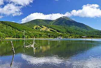 女神湖と蓼科山