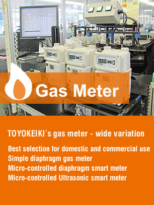 Gas Meter