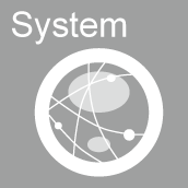 System