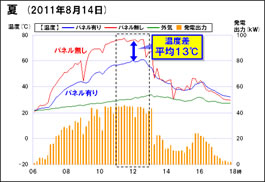 夏(2011年8月14日)