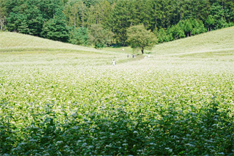 中山高原1