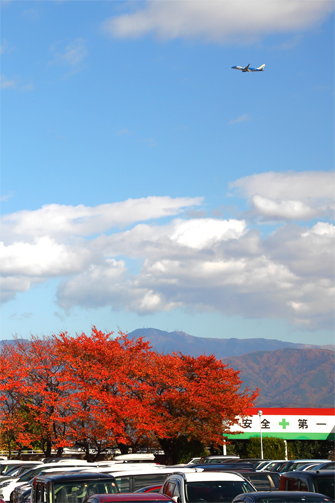 旅客機と紅葉