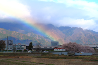 虹と桜