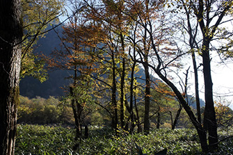 上高地