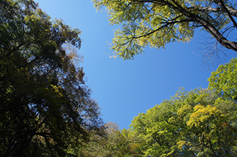 晴れ渡る青空