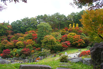 色とりどりの紅葉