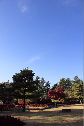 秋晴れの青空