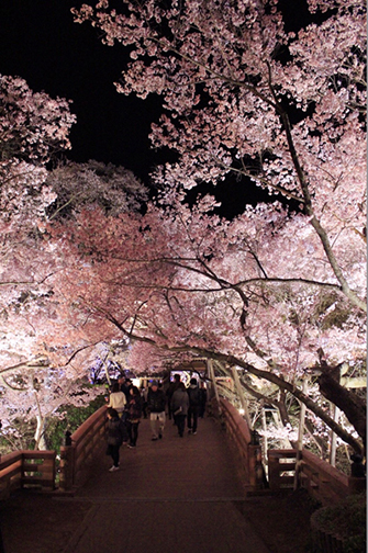 桜雲橋