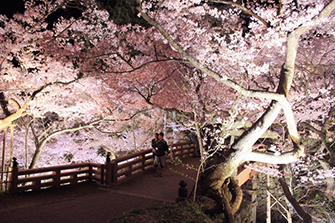 桜雲橋