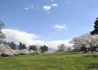 東洋計器株式会社 18年4月16日 松本桜めぐり 東洋計器株式会社 18年4月16日 松本桜めぐり