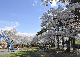 桜の中で遊具を楽しむ