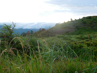 鉢伏山からの風景1