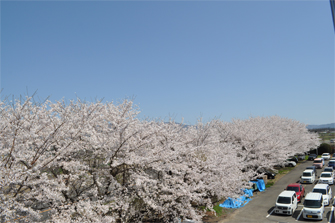 東洋計器本社桜