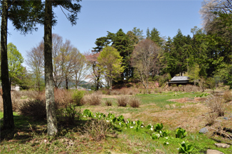 武居城公園