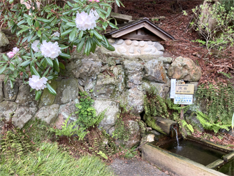 邂逅の清水