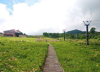 白馬五竜高山植物園