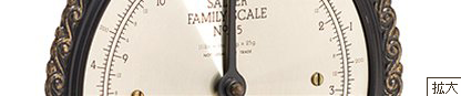 イメージ：SALTER FAMILY SCALE